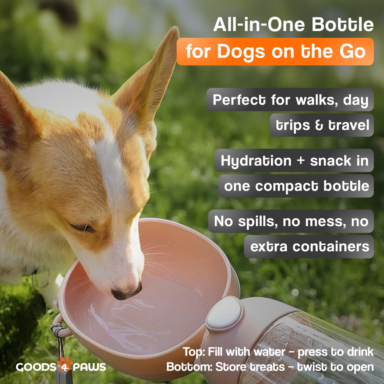 QuickSip Duo Dog Water Bottle 13 oz – Goods4Paws