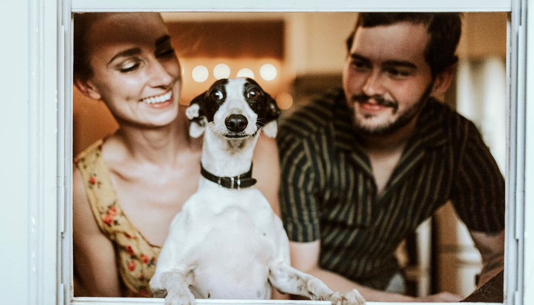 The 245 Best Dog Names from A to Z.