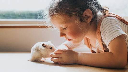 The Best Small Pets for Kids: A Guide to Choosing the Right Companion