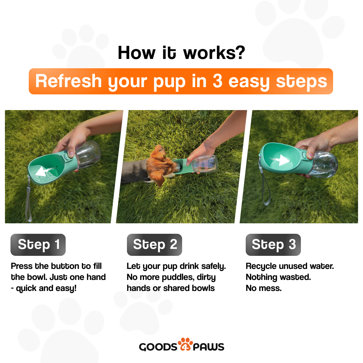 GoSip Dog Water Bottle 10 oz – Goods4Paws