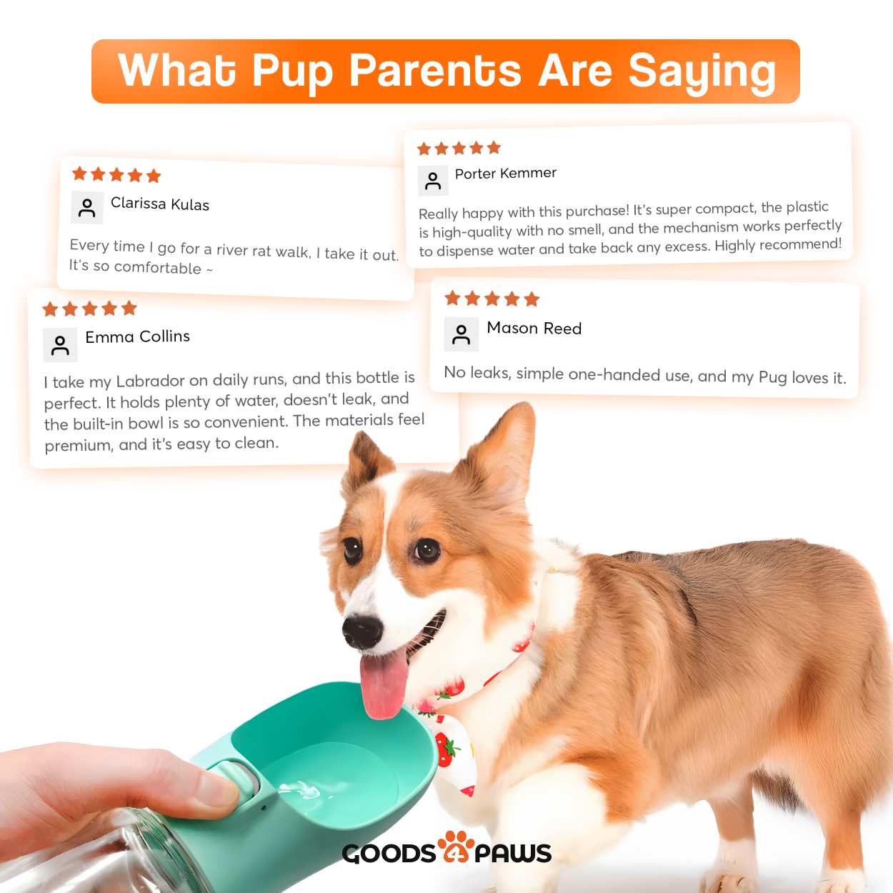 GoSip Dog Water Bottle 10 oz – Goods4Paws