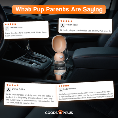 QuickSip Duo Dog Water Bottle 13 oz – Goods4Paws