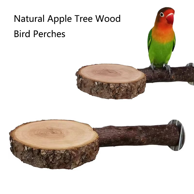 Natural Apple Tree Wood Pet Parrot Raw Wood Fork Tree Branch Stand Rack Squirrel Bird Hamster Branch Perches Chew Bite Toys