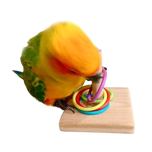 Bird Training Ring Toy Parrot Educational Toys Training Interactive Bird Supplies Bird Toys Random Color