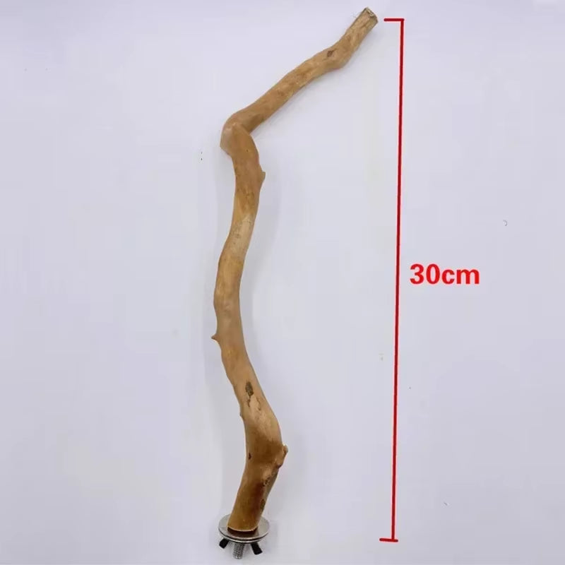 Natural Parrot Perch Bird Stand Tree Stick Paw Grinding Fork Parakeet Climbing Bird Standing Branches Toys Birdcage Accessories