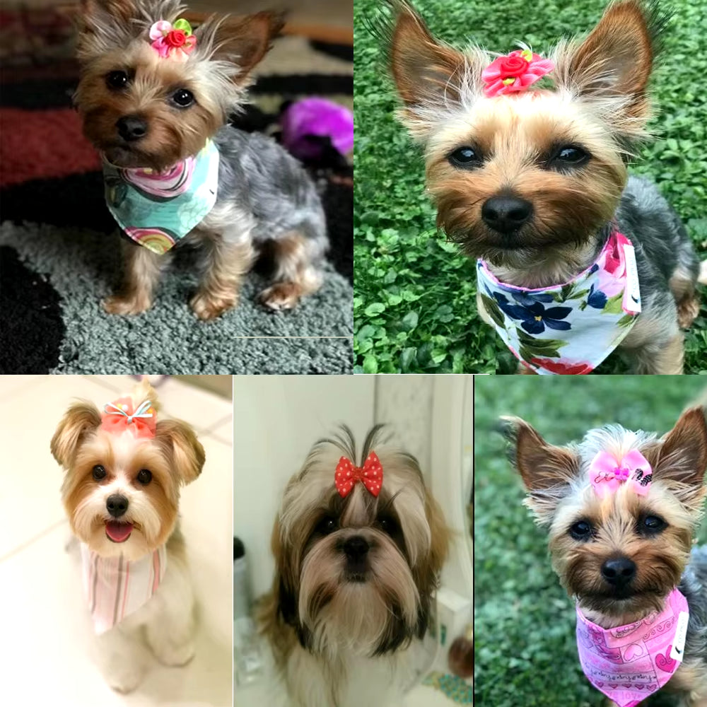 10Pcs /20Pcs/30Pcs Wholesale Pet Hair Bows Pet Dog Bows Rubber Bands with Diamond Dog Accessories for Small Dog Pet Supplies