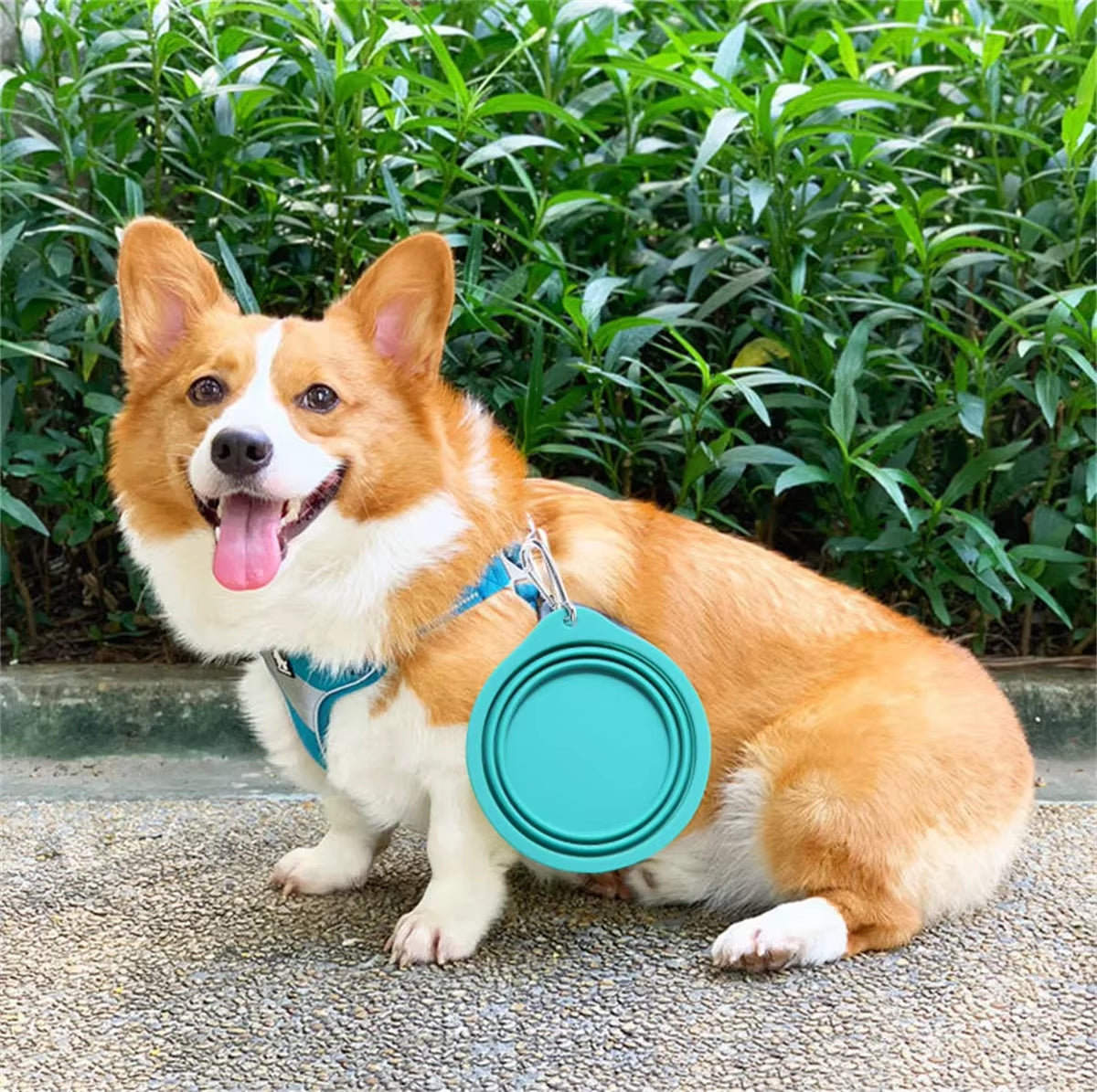 305/1000Ml Large Collapsible Dog Pet Folding Silicone Bowl Outdoor Travel Portable Puppy Food Container Feeder Dish Bowl