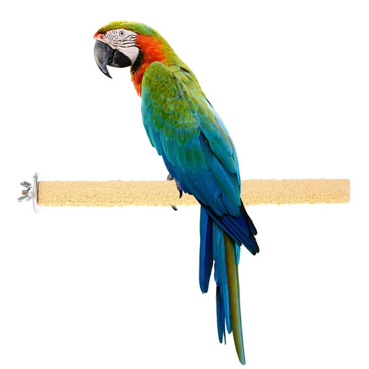 Colorful Parrot Standing Stick Non-Toxic Bird Claw Stick Eco-Friendly Creative Reusable Durable Funny Portable Cage Decoration