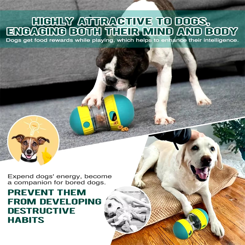 Dog Tumbler Leaky Food Ball Toy Elliptical Track Rolling Ball Slowly Feeding Protects Stomach Increase Intelligence Pet Supplies