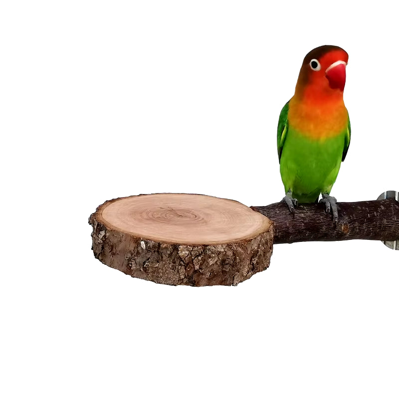 Natural Apple Tree Wood Pet Parrot Raw Wood Fork Tree Branch Stand Rack Squirrel Bird Hamster Branch Perches Chew Bite Toys