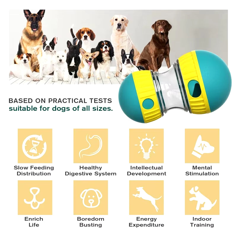 Dog Tumbler Leaky Food Ball Toy Elliptical Track Rolling Ball Slowly Feeding Protects Stomach Increase Intelligence Pet Supplies