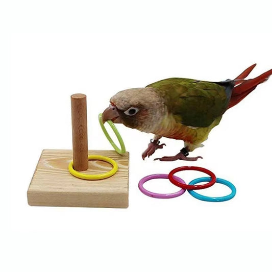 Bird Training Ring Toy Parrot Educational Toys Training Interactive Bird Supplies Bird Toys Random Color