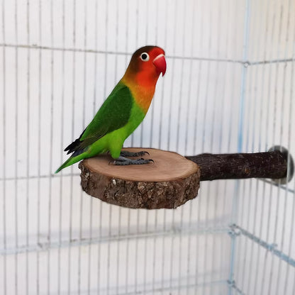 Natural Apple Tree Wood Pet Parrot Raw Wood Fork Tree Branch Stand Rack Squirrel Bird Hamster Branch Perches Chew Bite Toys