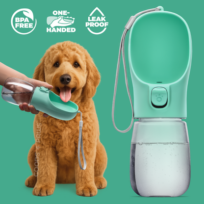 Dog with a green portable water bottle and features highlighted on a green background