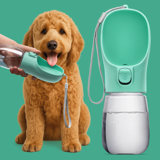 GoSip Dog Water Bottle 10 oz – Goods4Paws