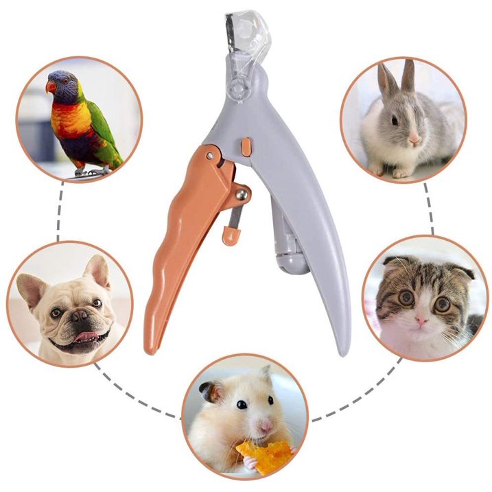 LED Pet Nail Clipper – Splash-Proof with Magnifier & Bloodline Guard