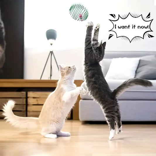 1Pc/3Pcs Cat Toy Balls Funny Stretchable Kitten Springs Toys Interactive Caged Rats Rolling Cat Balls Random Color Cat Dog