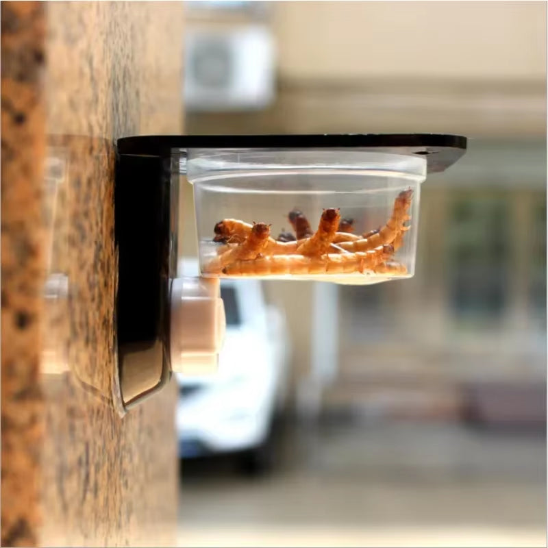 Crested Gecko Feeding Ledge Reptile Water and Food Dish for Lizard Lguana Chameleon or Other Small Pet Ledge Accessories Supplie