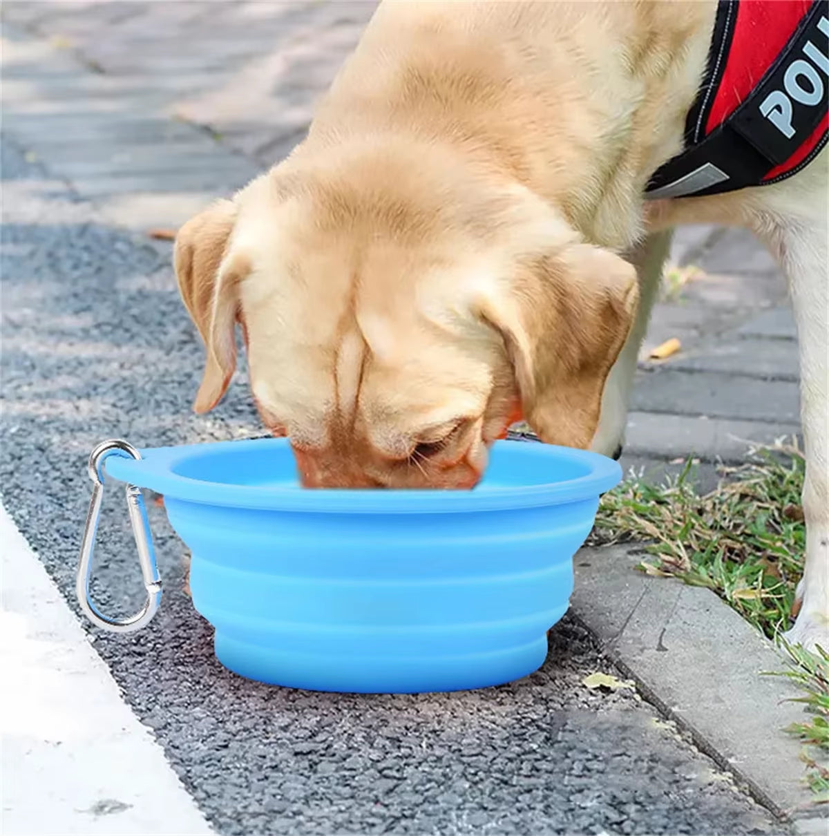 305/1000Ml Large Collapsible Dog Pet Folding Silicone Bowl Outdoor Travel Portable Puppy Food Container Feeder Dish Bowl